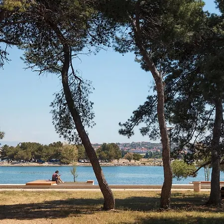 Tereza Zadar