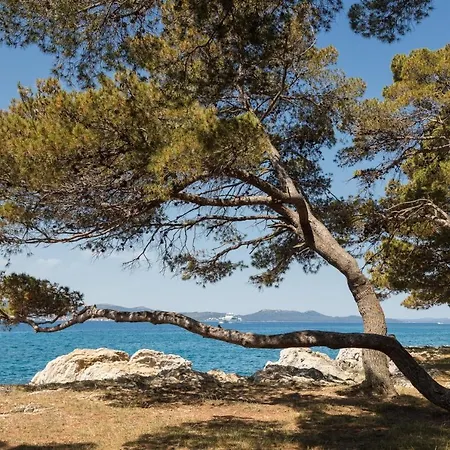 Villa Tereza *